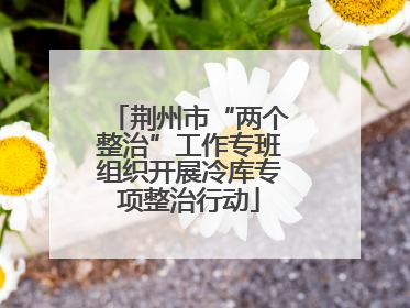 荆州市“两个整治”工作专班组织开展冷库专项整治行动