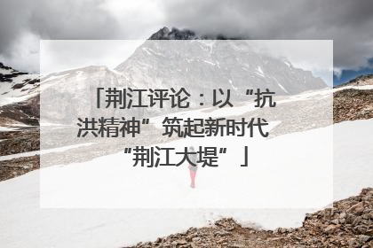 荆江评论：以“抗洪精神”筑起新时代“荆江大堤”