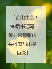荒山生金！90后书记马传力带领张山头村书写山乡巨变