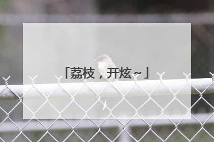 荔枝，开炫～