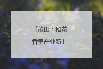 莆田：稻花香里产业新