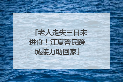 老人走失三日未进食！江夏警民跨城接力助回家