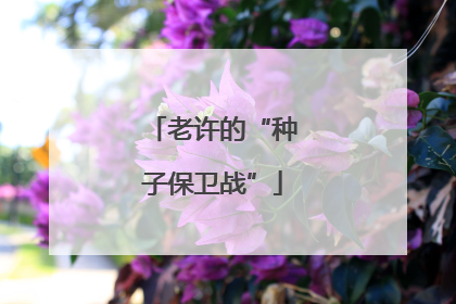 老许的“种子保卫战”