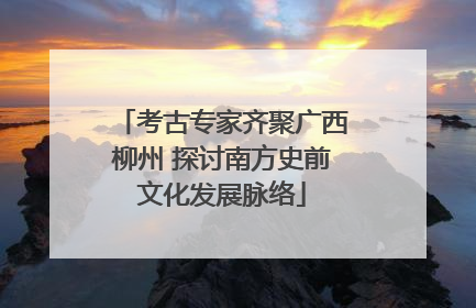 考古专家齐聚广西柳州 探讨南方史前文化发展脉络