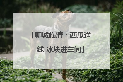 聊城临清：西瓜送一线 冰块进车间