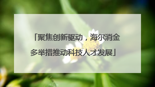 聚焦创新驱动，海尔消金多举措推动科技人才发展