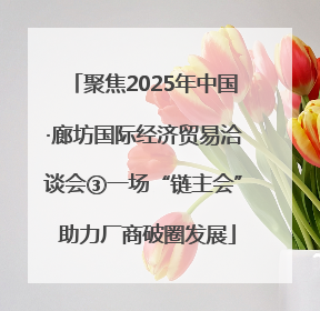 聚焦2025年中国·廊坊国际经济贸易洽谈会③一场“链主会” 助力厂商破圈发展