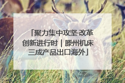 聚力集中攻坚·改革创新进行时｜滕州机床三成产品出口海外