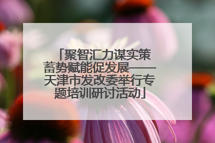 聚智汇力谋实策 蓄势赋能促发展——天津市发改委举行专题培训研讨活动