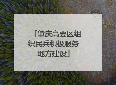 肇庆高要区组织民兵积极服务地方建设