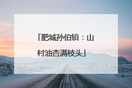 肥城孙伯镇：山村油杏满枝头