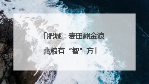肥城：麦田翻金浪藏粮有“智”方