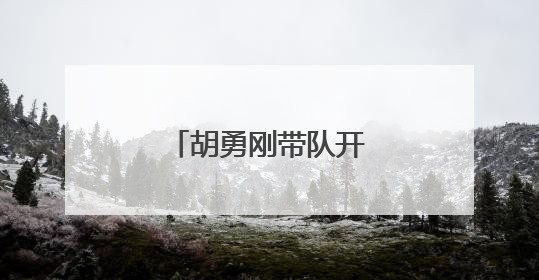 胡勇刚带队开展巡林工作
