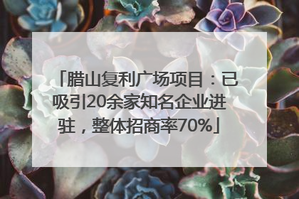 腊山复利广场项目：已吸引20余家知名企业进驻，整体招商率70%