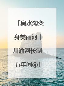 臭水沟变身美丽河丨川渝河长制五年间④