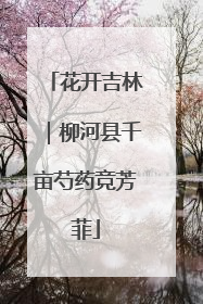 花开吉林｜柳河县千亩芍药竞芳菲