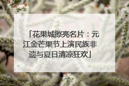 花果城擦亮名片：元江金芒果节上演民族非遗与夏日清凉狂欢