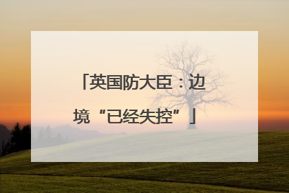 英国防大臣：边境“已经失控”