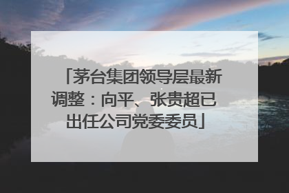 茅台集团领导层最新调整：向平、张贵超已出任公司党委委员