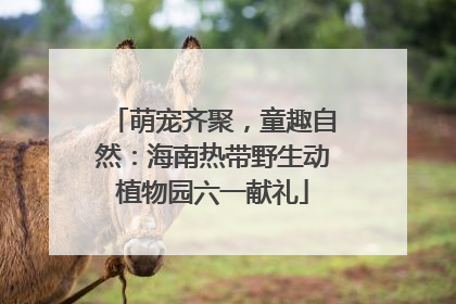 萌宠齐聚，童趣自然：海南热带野生动植物园六一献礼