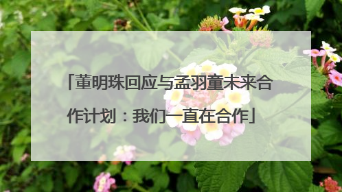 董明珠回应与孟羽童未来合作计划：我们一直在合作