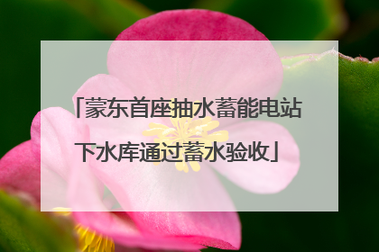 蒙东首座抽水蓄能电站下水库通过蓄水验收