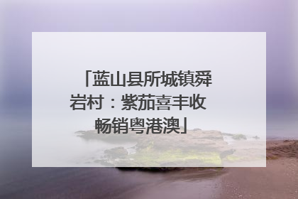蓝山县所城镇舜岩村：紫茄喜丰收 畅销粤港澳