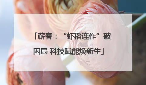 蕲春：“虾稻连作”破困局 科技赋能焕新生