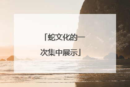 蛇文化的一次集中展示