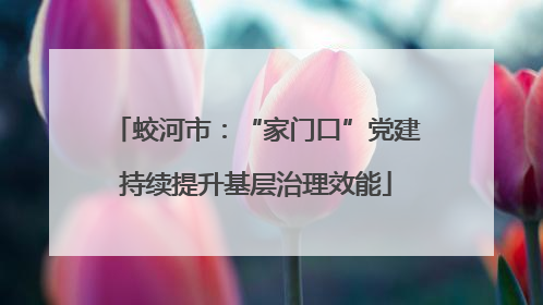 蛟河市：“家门口”党建持续提升基层治理效能