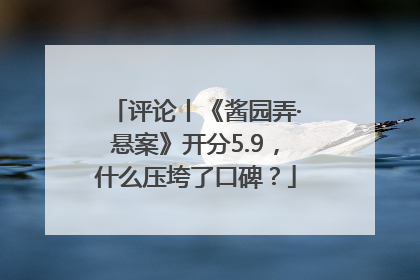 评论丨《酱园弄·悬案》开分5.9，什么压垮了口碑？