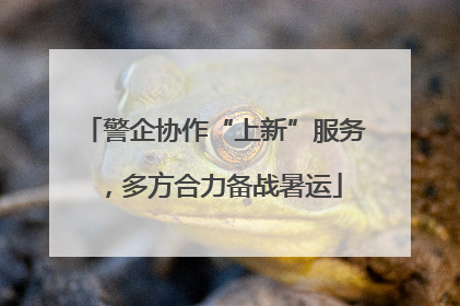 警企协作“上新”服务，多方合力备战暑运