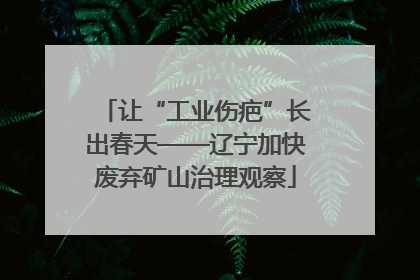 让“工业伤疤”长出春天——辽宁加快废弃矿山治理观察