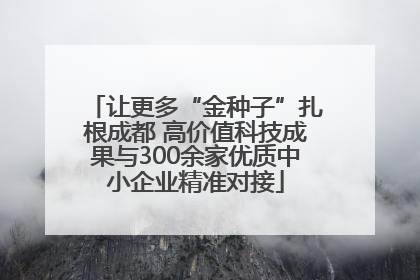 让更多“金种子”扎根成都 高价值科技成果与300余家优质中小企业精准对接