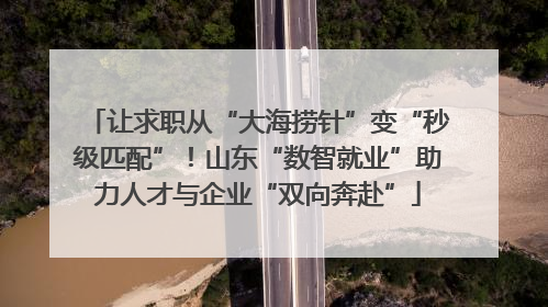 让求职从“大海捞针”变“秒级匹配”！山东“数智就业”助力人才与企业“双向奔赴”