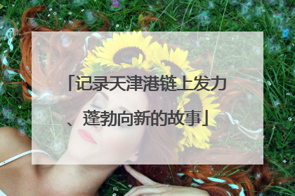 记录天津港链上发力、蓬勃向新的故事