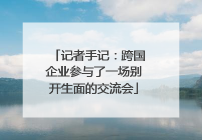 记者手记：跨国企业参与了一场别开生面的交流会