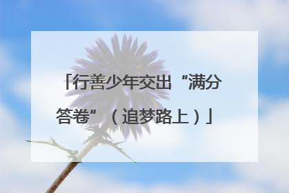 行善少年交出“满分答卷”（追梦路上）