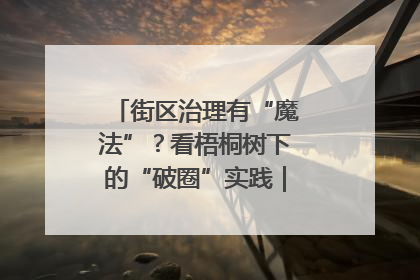 街区治理有“魔法”？看梧桐树下的“破圈”实践｜我在街区当书记