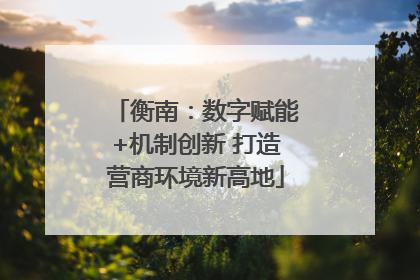 衡南：数字赋能+机制创新 打造营商环境新高地