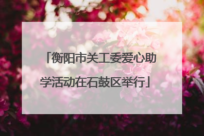 衡阳市关工委爱心助学活动在石鼓区举行