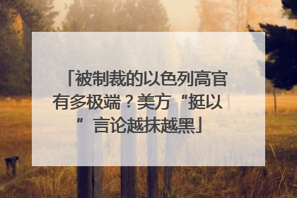 被制裁的以色列高官有多极端？美方“挺以”言论越抹越黑