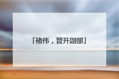 褚伟，晋升副部