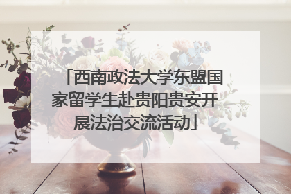 西南政法大学东盟国家留学生赴贵阳贵安开展法治交流活动
