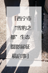 西宁市“雪豹之都”生态摄影展征稿启事