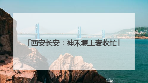西安长安：神禾塬上麦收忙