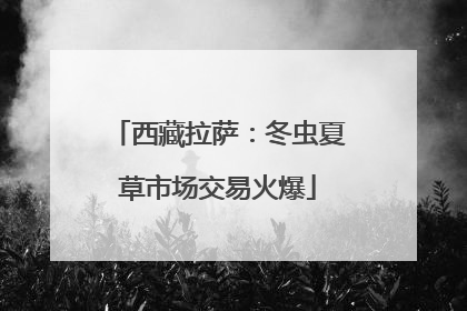 西藏拉萨：冬虫夏草市场交易火爆