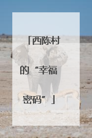 西陈村的“幸福密码”
