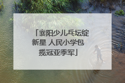 襄阳少儿乓坛绽新星 人民小学包揽冠亚季军