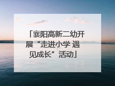 襄阳高新二幼开展“走进小学 遇见成长”活动